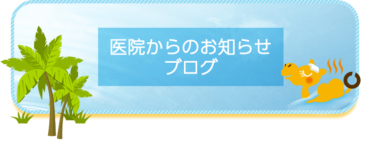 久喜かわしま眼科ブログ