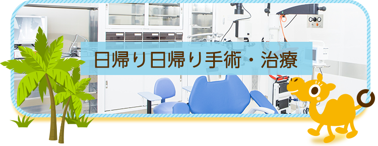 眼瞼・眼表面疾患 - 久喜かわしま眼科久喜かわしま眼科